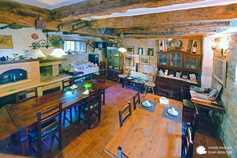 Al Merlo Olivo, Rural Istrian House Buje Nocleg ze śniadaniem