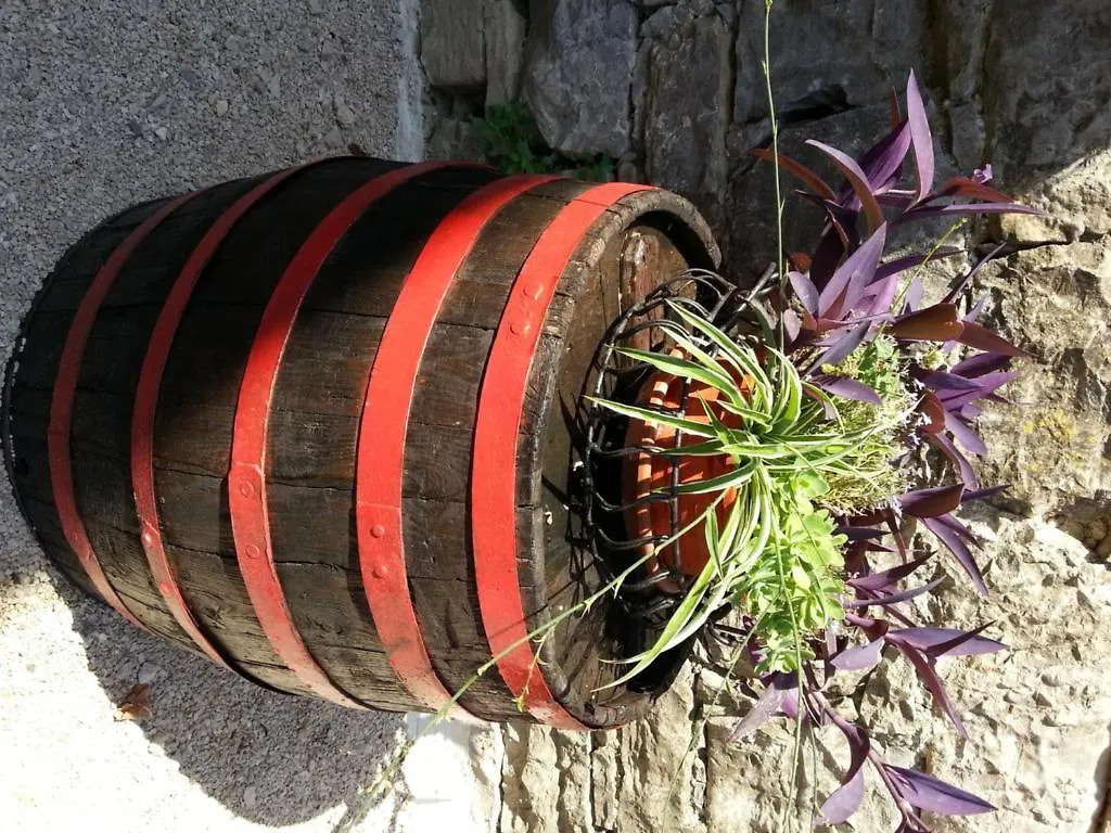 Al Merlo Olivo, Rural Istrian House Buje Nocleg ze śniadaniem