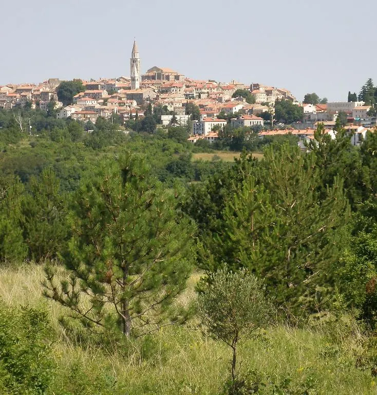 Al Merlo Olivo, Rural Istrian House Buje Bed & Breakfast