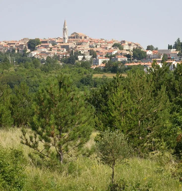 Bed & Breakfast Al Merlo Olivo, Rural Istrian House Bed and Breakfast Buje