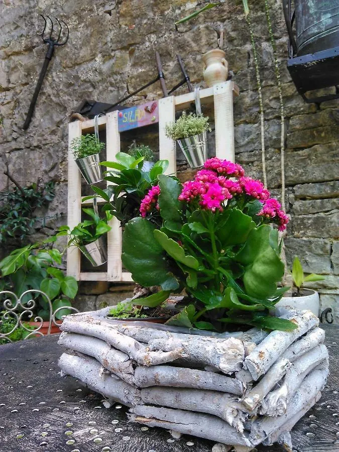 Al Merlo Olivo, Rural Istrian House Buje Nocleg ze śniadaniem