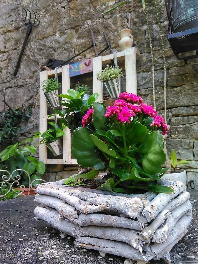 Al Merlo Olivo, Rural Istrian House Bed and Breakfast Buje Bed & Breakfast