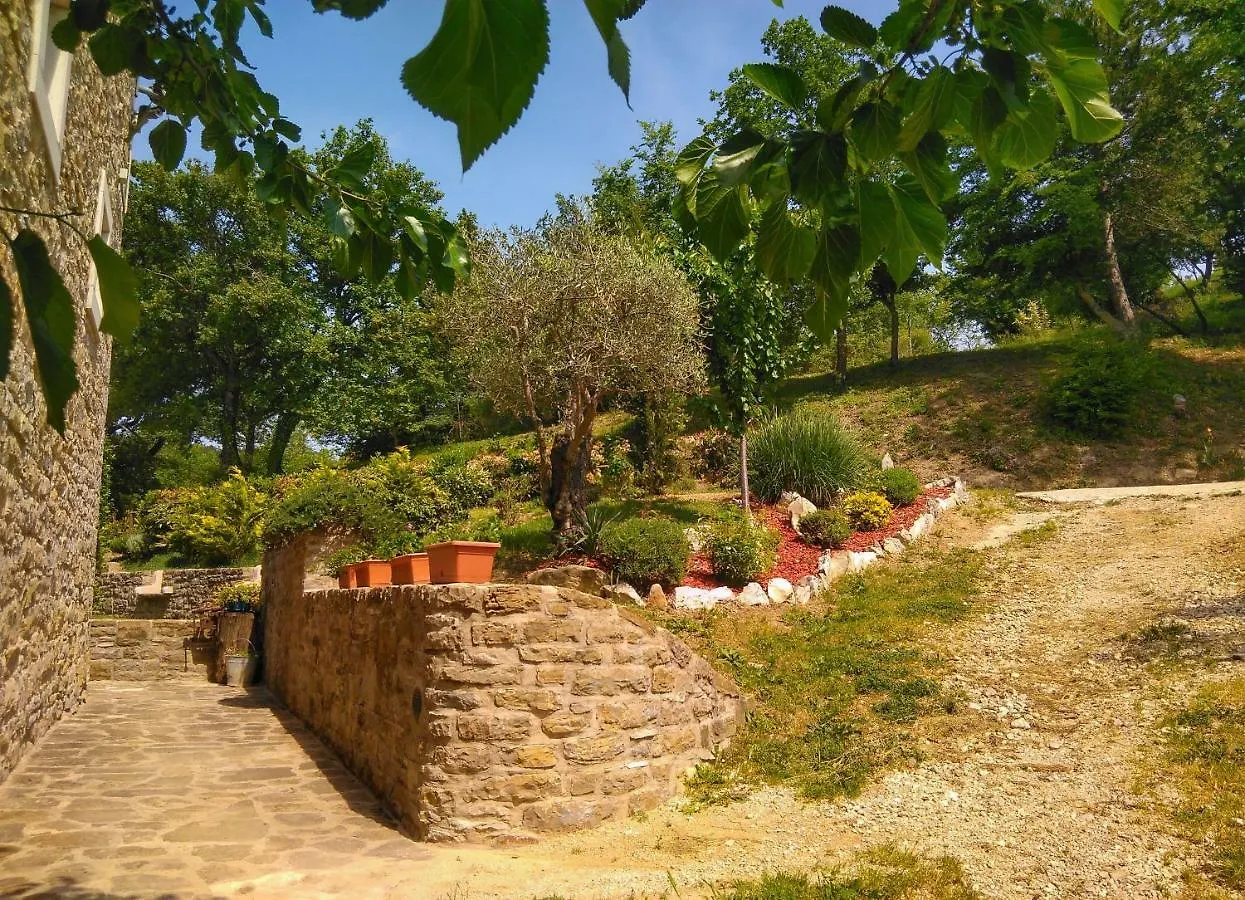 Al Merlo Olivo, Rural Istrian House Buje